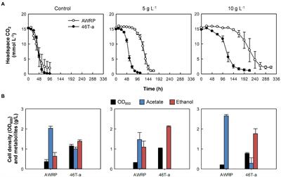 Metabolic changes of the acetogen Clostridium sp. AWRP through adaptation to acetate challenge